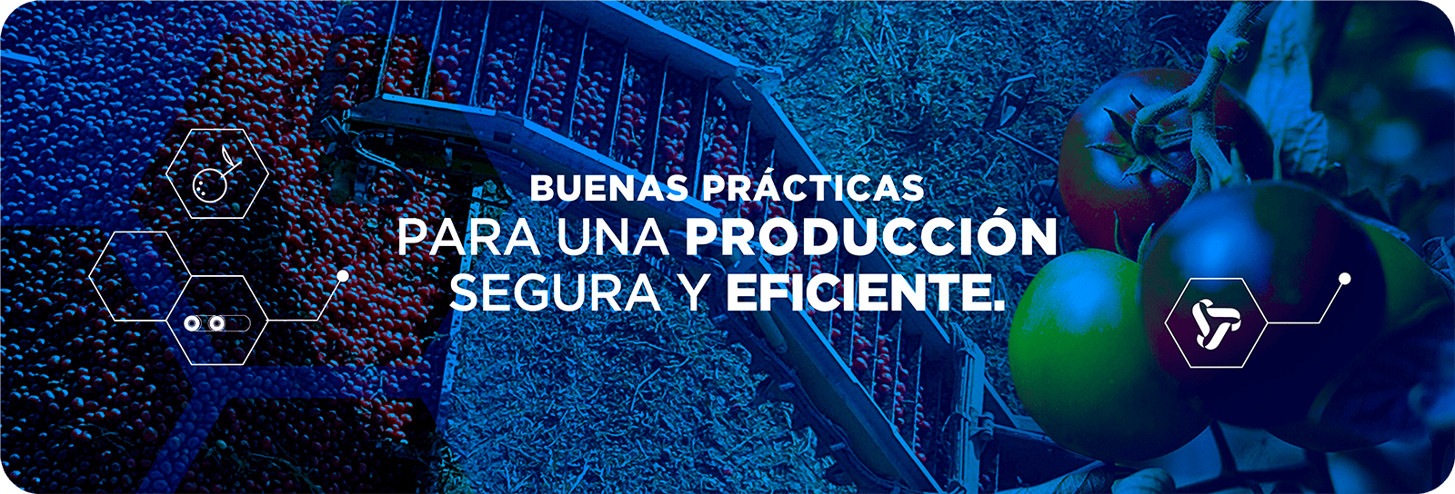 Buenas Prácticas para una Producción Segura y Eficiente. 10 SEM 10 BUENAS PRACTICAS Mesa de trabajo 1 min